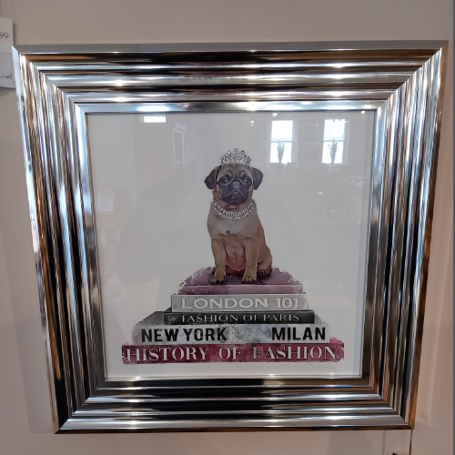 Pink Pug Picture