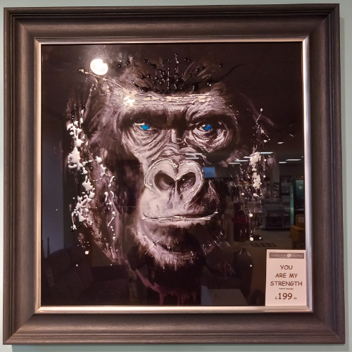 You Are My Strength Gorilla Picture